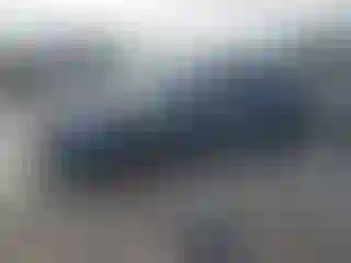 Vehicle Image- 2022 Tesla Model Y