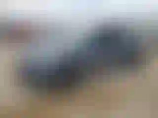Vehicle Image- 2022 Tesla Model Y