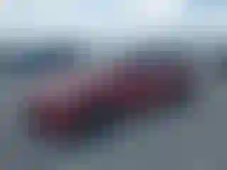 Vehicle Image- 2024 Tesla Model Y