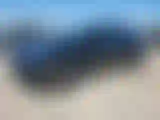 Vehicle Image- 2023 Tesla Model Y