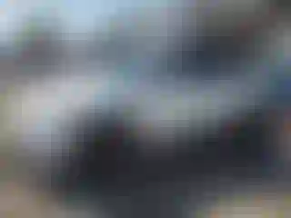 Vehicle Image- 2023 Tesla Model Y