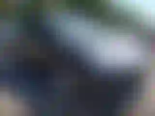 Vehicle Image- 2022 Tesla Model Y