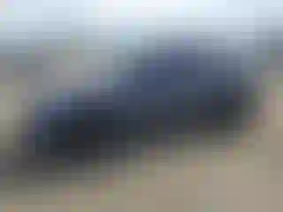 Vehicle Image- 2023 Tesla Model Y