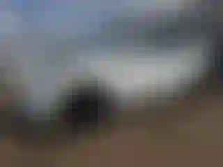 Vehicle Image- 2022 Tesla Model Y
