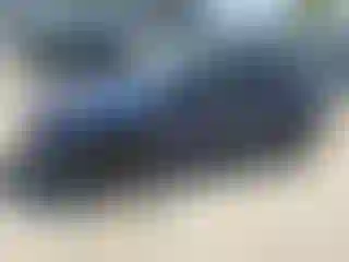 Vehicle Image- 2022 Tesla Model Y