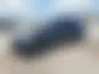 Vehicle Image- 2024 Tesla Model Y