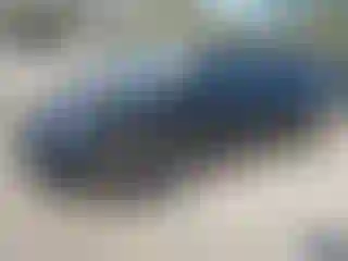 Vehicle Image- 2024 Tesla Model Y