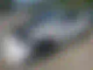 Vehicle Image- 2024 Tesla Model Y