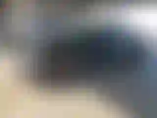 Vehicle Image- 2022 Tesla Model Y