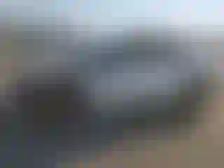 Vehicle Image- 2022 Tesla Model Y