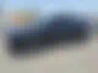 Vehicle Image- 2023 Tesla Model Y