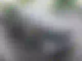 Vehicle Image- 2023 Tesla Model Y