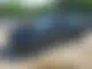 Vehicle Image- 2024 Tesla Model Y