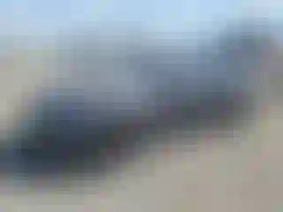 Vehicle Image- 2023 Tesla Model Y