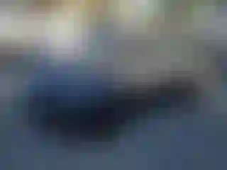 Vehicle Image- 2024 Tesla Model Y