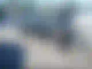 Vehicle Image- 2024 Tesla Model Y