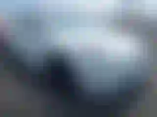 Vehicle Image- 2022 Tesla Model Y
