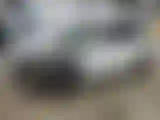 Vehicle Image- 2023 Tesla Model Y
