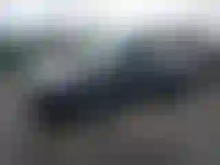 Vehicle Image- 2023 Tesla Model Y