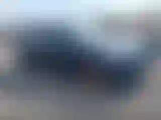 Vehicle Image- 2024 Tesla Model Y