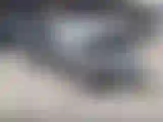 Vehicle Image- 2024 Tesla Model Y