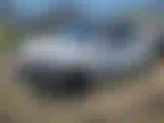 Vehicle Image- 2022 Tesla Model Y