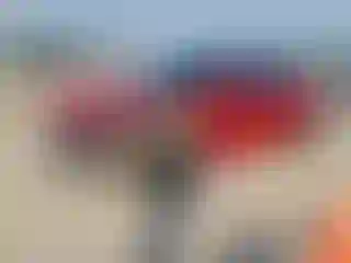 Vehicle Image- 2022 Tesla Model Y