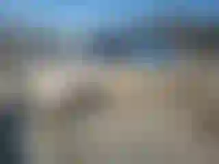 IMPORTOWO.pl