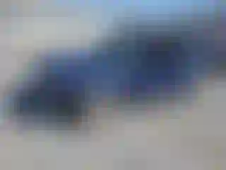 Vehicle Image- 2004 Volkswagen Golf