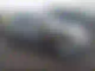 Vehicle Image- 2003 Volkswagen Golf