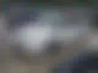 Vehicle Image- 1997 Honda Accord