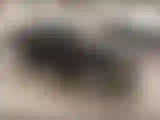 Vehicle Image- 2013 Mitsubishi Lancer