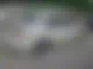 IMPORTOWO.pl