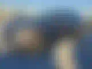 Vehicle Image- 2019 Mitsubishi Outlander