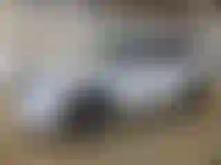 Vehicle Image- 2024 Mitsubishi Outlander