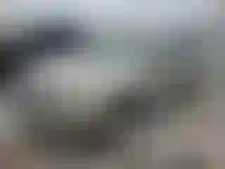 Vehicle Image- 2009 Mitsubishi Outlander