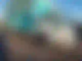 Vehicle Image- 1997 Isuzu Inne