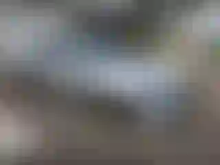 Vehicle Image- 2004 Subaru Impreza