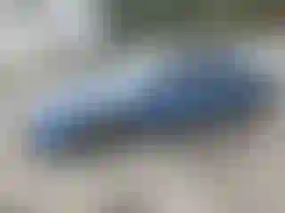 Vehicle Image- 2007 Subaru Impreza