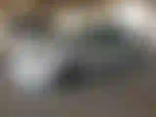 Vehicle Image- 2004 Subaru Impreza