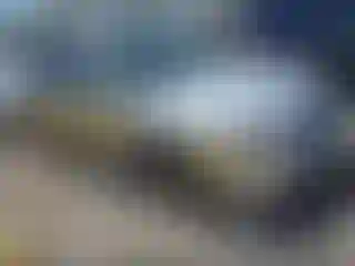 Vehicle Image- 2003 Subaru Impreza