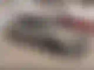 Vehicle Image- 2006 Subaru Impreza