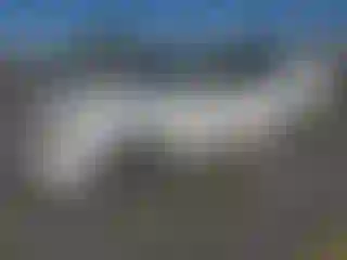 Vehicle Image- 2009 Subaru Impreza