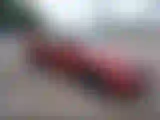Vehicle Image- 2009 Subaru Impreza
