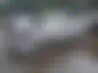 Vehicle Image- 2008 Subaru Impreza