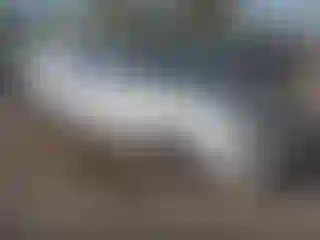 Vehicle Image- 2008 Subaru Impreza