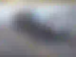 Vehicle Image- 2004 Subaru Impreza