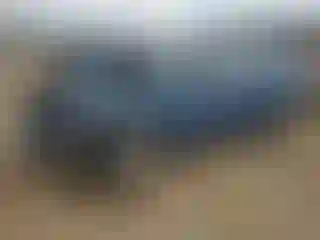Vehicle Image- 2007 Subaru Impreza