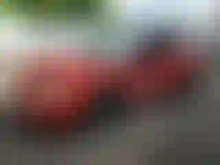 Vehicle Image- 2004 Subaru Impreza