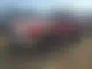 Vehicle Image- 2002 Subaru Impreza